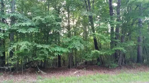 lot1 Mallard Point Rd, Wirtz, VA 24184