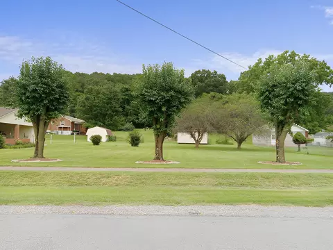 201 Culpepper Ave, Buchanan, VA 24066 photo 22