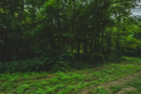 Lot 8 Woolwine Hwy, Woolwine, VA 24185
