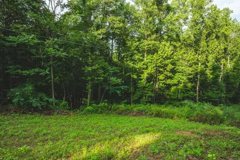 Lot 9 Woolwine Hwy, Woolwine, VA 24185