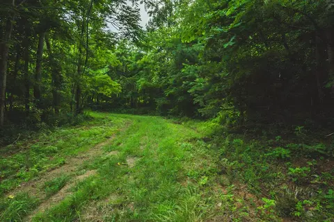 Lot 15 Woolwine Hwy, Woolwine, VA 24185