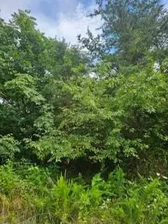 lot52 Thornblade Way, Blue Ridge, VA 24064