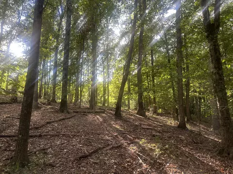 0 Heatherton Dr, Covington, VA 24426