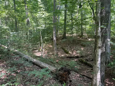 0 Wert Faulkner Hwy, Natural Bridge Station, VA 24579