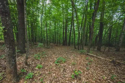 0 Lee Elgin Rd, Woolwine, VA 24185