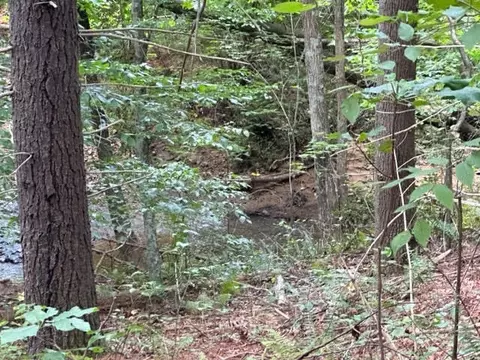 0 Haw Patch Rd, Ferrum, VA 24088 photo 2
