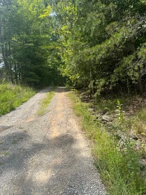 0 Haw Patch Rd, Ferrum, VA 24088 photo 6