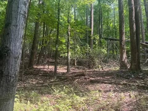 0 Haw Patch Rd, Ferrum, VA 24088 photo 4