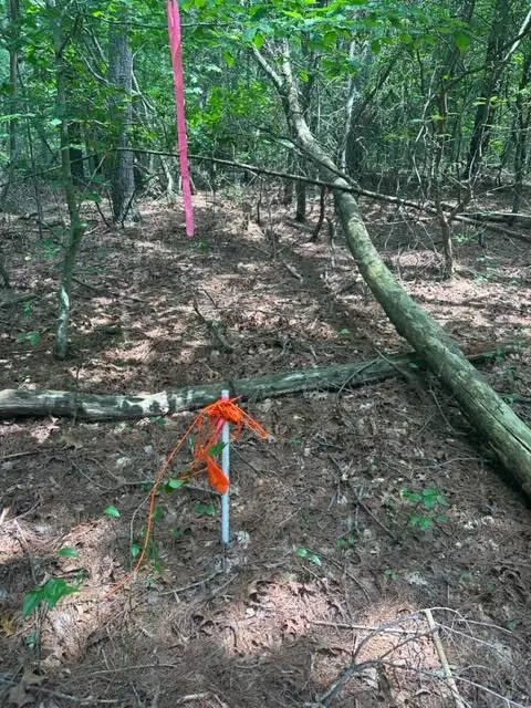 0 Haw Patch Rd, Ferrum, VA 24088