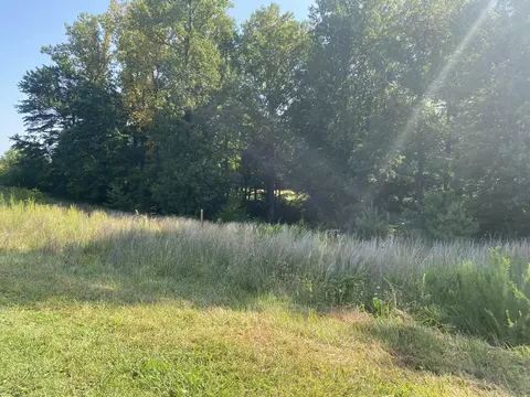 Tract B Rock Lily Rd, Wirtz, VA 24184