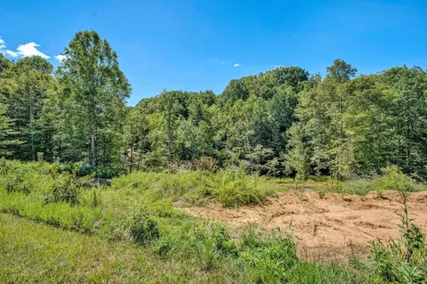 302 Point Dr, Hardy, VA 24101 photo 14