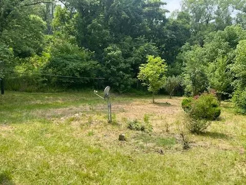 391 Riverside Dr, Eagle Rock, VA 24085 photo 4