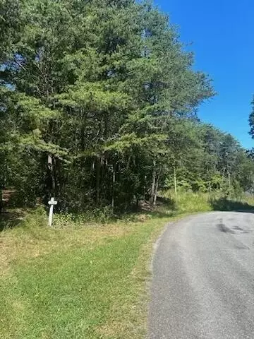 lot97 Cove Point Trl, Moneta, VA 24121