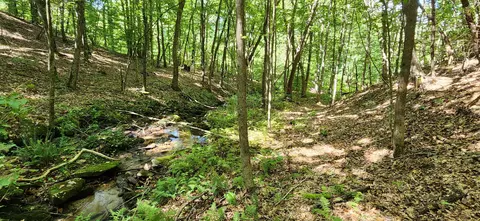 0 Cooks Knob Rd, Ferrum, VA 24088 photo 7