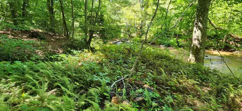 0 Cooks Knob Rd, Ferrum, VA 24088 photo 5