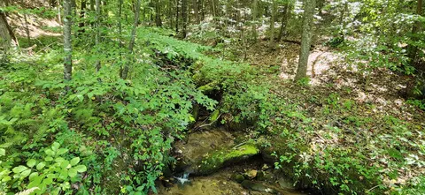 0 Cooks Knob Rd, Ferrum, VA 24088 photo 6