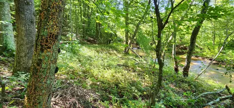 0 Cooks Knob Rd, Ferrum, VA 24088 photo 2
