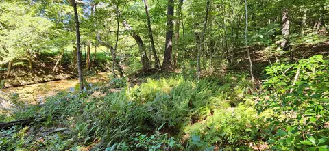 0 Cooks Knob Rd, Ferrum, VA 24088 photo 3