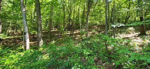 0 Cooks Knob Rd, Ferrum, VA 24088 photo 4