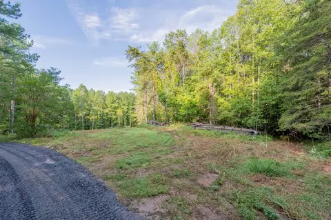 100 Thompson Ridge Cir, Ferrum, VA 24088 photo 16