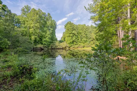100 Thompson Ridge Cir, Ferrum, VA 24088 photo 8