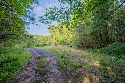 100 Thompson Ridge Cir, Ferrum, VA 24088 photo 15