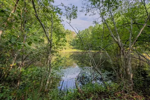100 Thompson Ridge Cir, Ferrum, VA 24088 photo 9