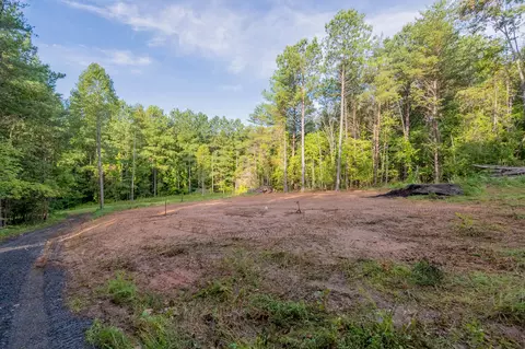 100 Thompson Ridge Cir, Ferrum, VA 24088 photo 18