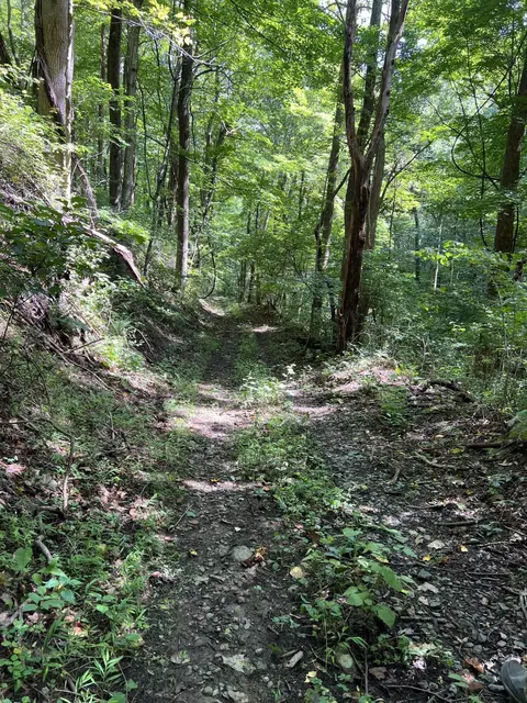 1423 N Fork Rd, Stuart, VA 24171 photo 75