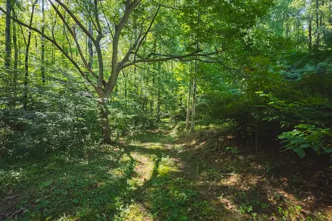 1423 N Fork Rd, Stuart, VA 24171 photo 50