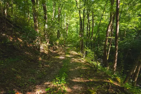 1423 N Fork Rd, Stuart, VA 24171 photo 55