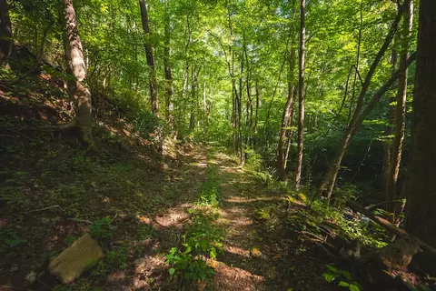 1423 N Fork Rd, Stuart, VA 24171 photo 57