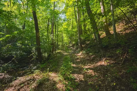 1423 N Fork Rd, Stuart, VA 24171 photo 59
