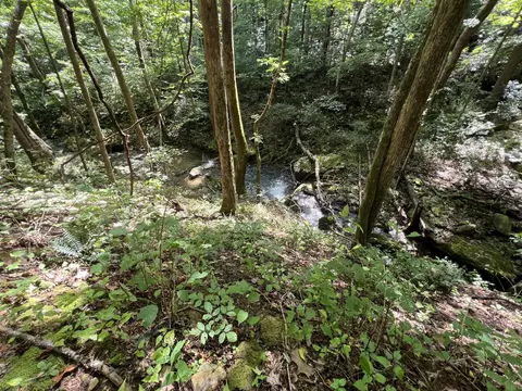 1423 N Fork Rd, Stuart, VA 24171 photo 76