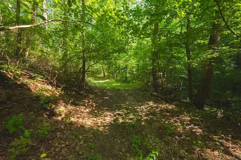 1423 N Fork Rd, Stuart, VA 24171 photo 58