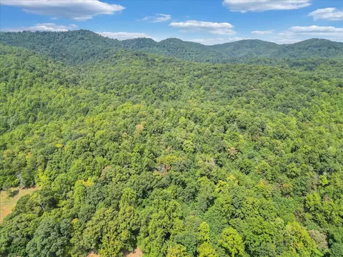 0 Newcomb Rd, Ferrum, VA 24088 photo 5