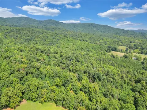 0 Newcomb Rd, Ferrum, VA 24088 photo 6