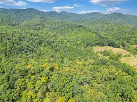 0 Newcomb Rd, Ferrum, VA 24088 photo 15