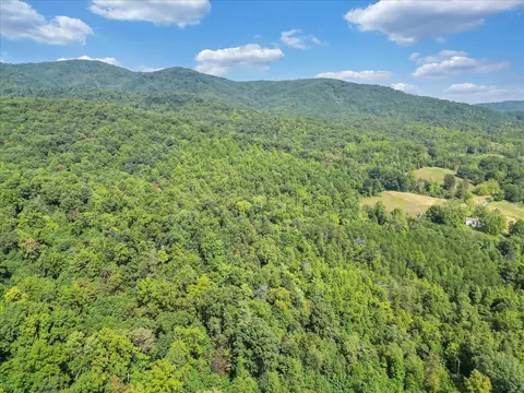 0 Newcomb Rd, Ferrum, VA 24088 photo 3