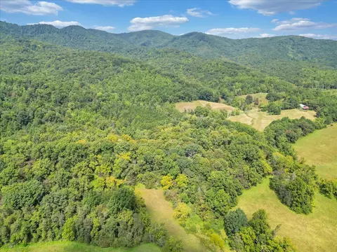 0 Newcomb Rd, Ferrum, VA 24088 photo 18
