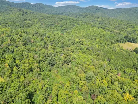 0 Newcomb Rd, Ferrum, VA 24088 photo 7