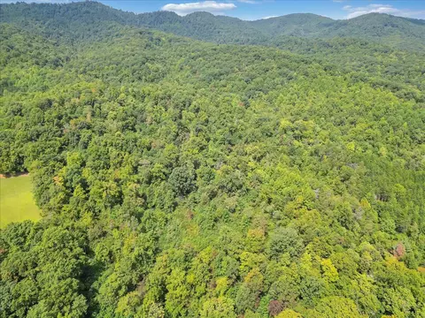 0 Newcomb Rd, Ferrum, VA 24088 photo 8