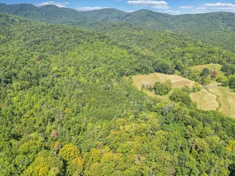 0 Newcomb Rd, Ferrum, VA 24088 photo 11