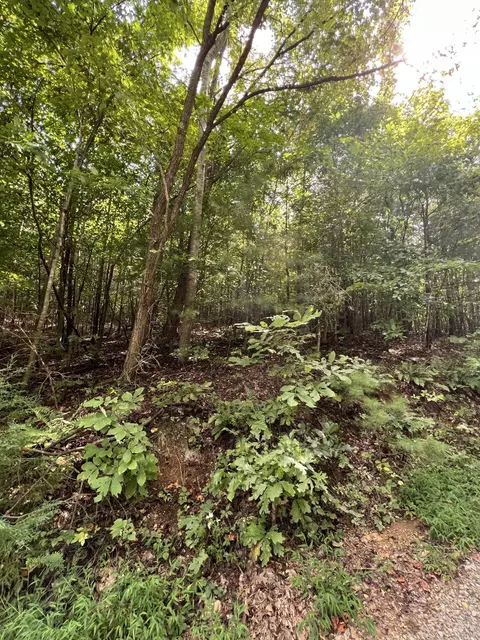 00 Sawmill Rd, Ferrum, VA 24088 photo 6