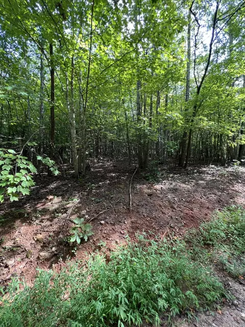 00 Sawmill Rd, Ferrum, VA 24088