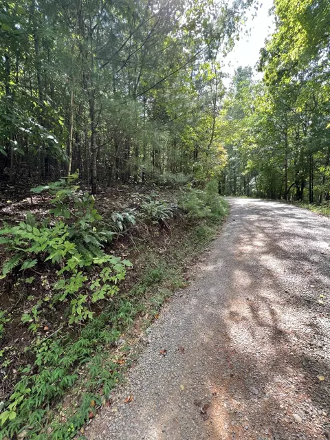 00 Sawmill Rd, Ferrum, VA 24088 photo 7