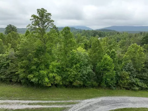 Lot 5 Reservoir View Dr, Pittsville, VA 24139