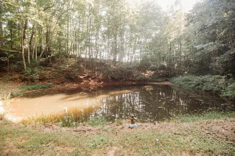 3197 Lee Elgin Rd, Woolwine, VA 24185 photo 40