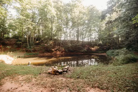 3197 Lee Elgin Rd, Woolwine, VA 24185 photo 39