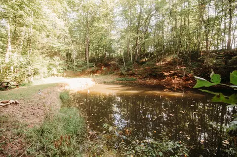 3197 Lee Elgin Rd, Woolwine, VA 24185 photo 38